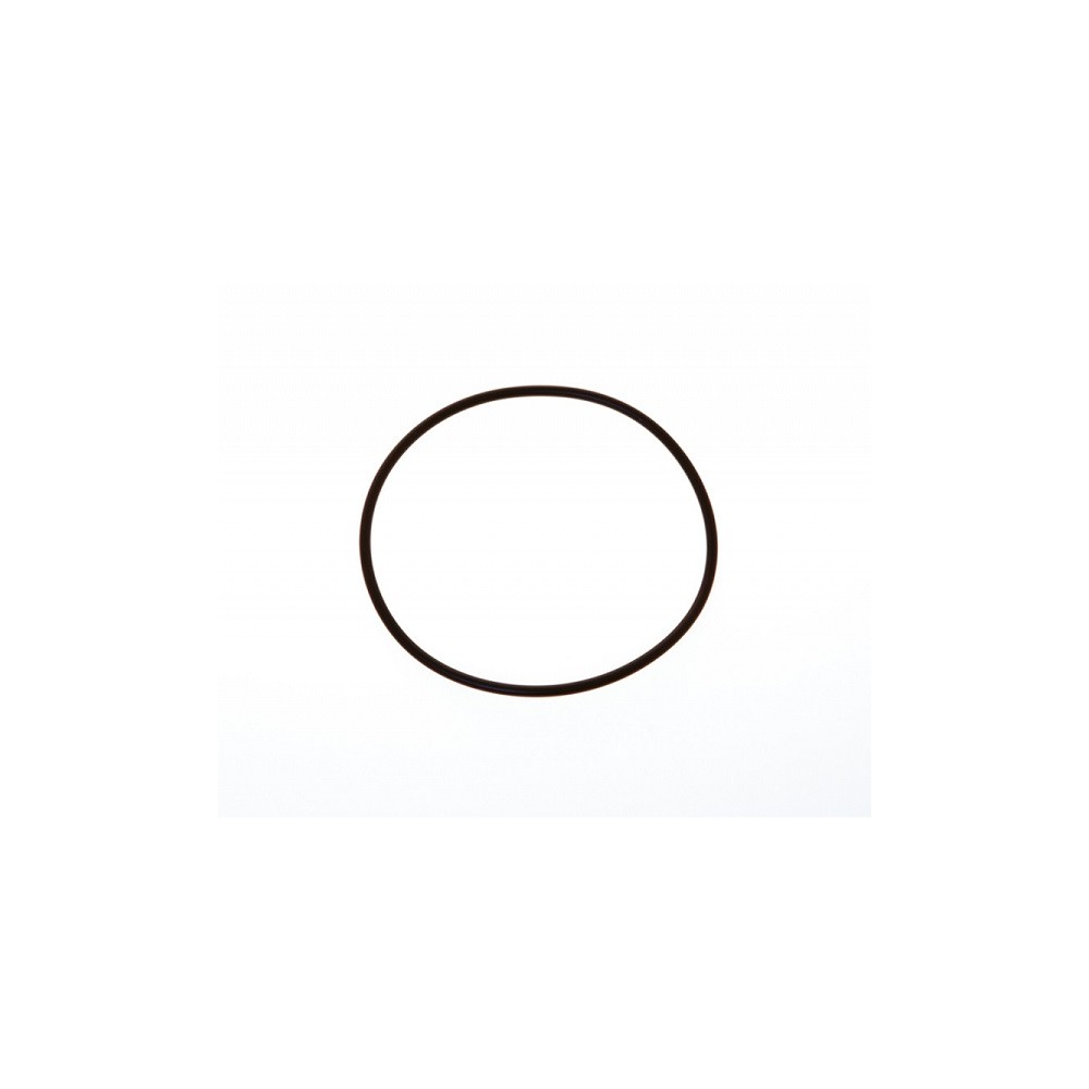 Oring coperchio filtro acqua 123,42x3,53 mm 1"1/2