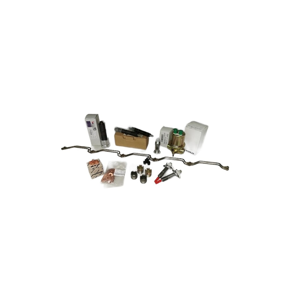 Punta iniettore D2876 LE401-405 MAN