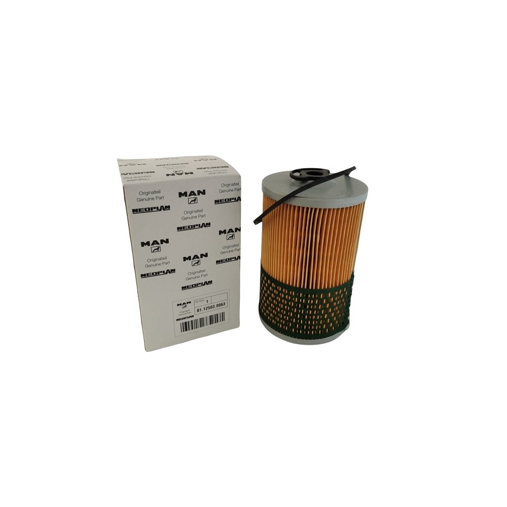 Filtro nafta MAN