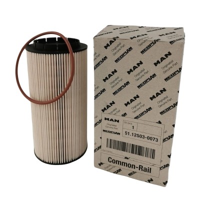 Filtro nafta per motori CR MAN