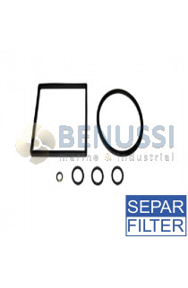 Kit guarnizioni filtro separ 2000/10 (01830)