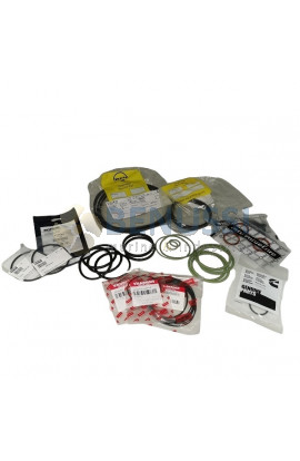 Oring bochettone p.a.m. CAT