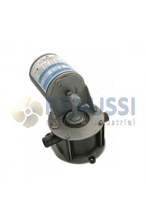 Pompa autoadescante Ocean Vertical 16L 24V