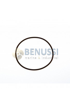 Oring coperchio filtro acqua 123,42x3,53 mm 1"1/2
