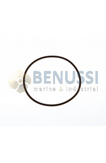 Oring coperchio filtro acqua 101,19x3,53 mm 3/4 - 1"