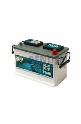 Batteria FIAMM 100 Ah 12 V (+ DX)
